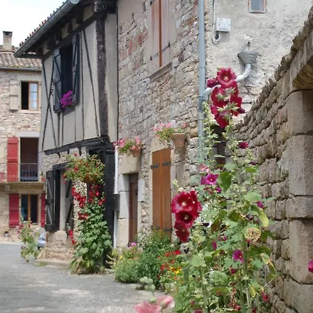 La Maison D'hotes Chez Delphine Puycelci