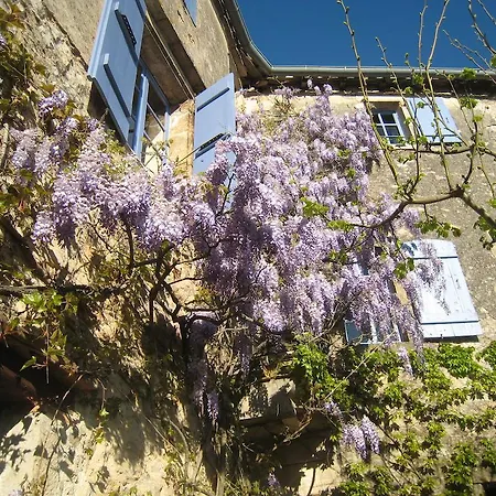 Guest house La Maison D'hotes Chez Delphine *
